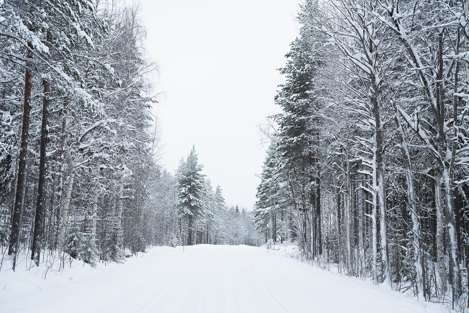 Från vision till budget i tre steg