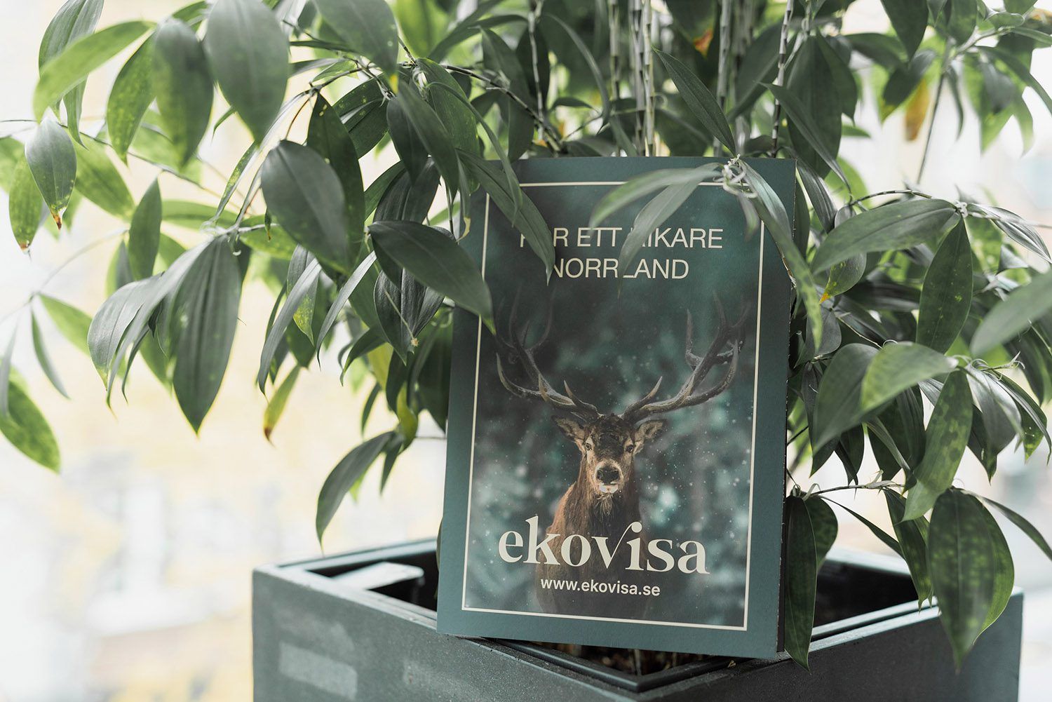 Nya ägandet ger tillgång till spetskompetens