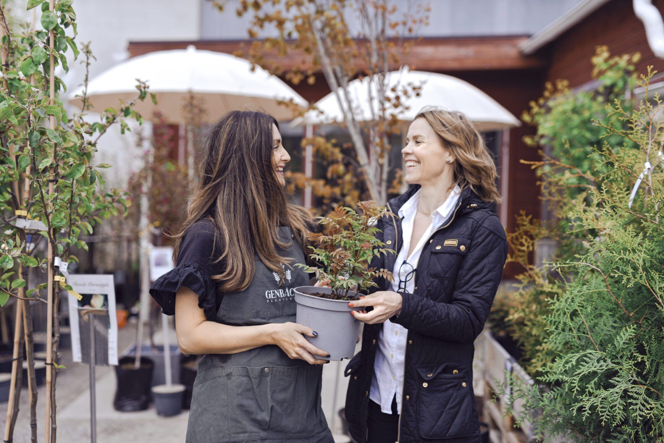 Möt Sofie på Genbäcks Plantskola