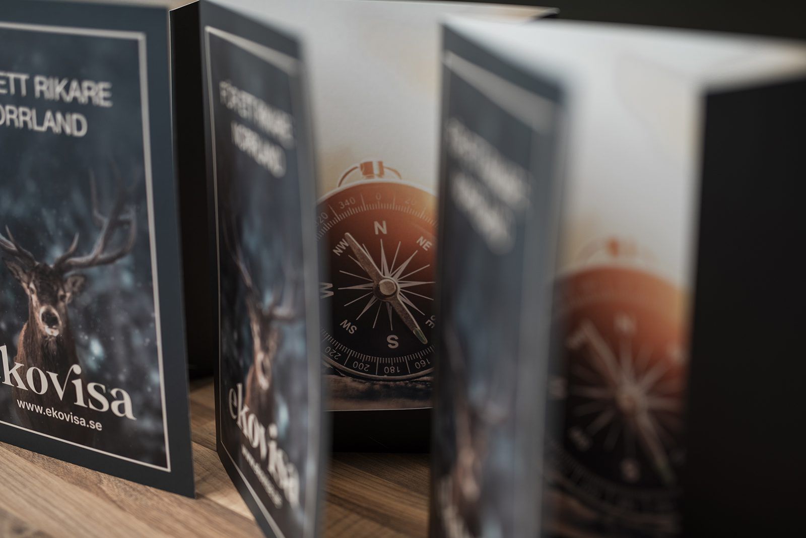 Så skapar du ett företag som styr med vision, analys och kontroll